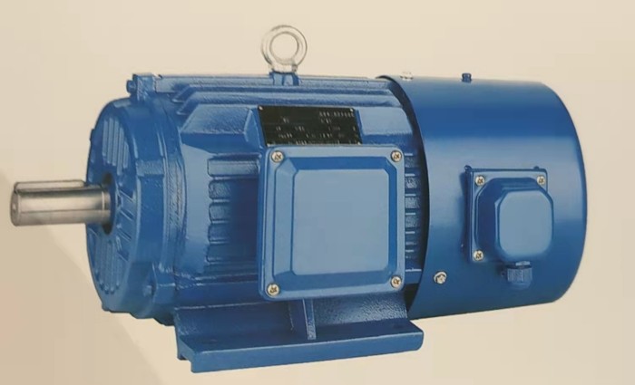 同步电动机的同步是指什么？失步的后果是什么？