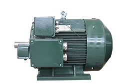 TYP80-355系列变频启动永磁同步电机