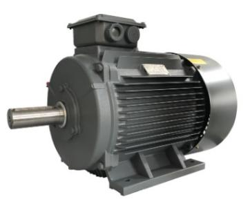 TYC高压永磁电动机